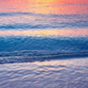 Meet your Posher, Traci